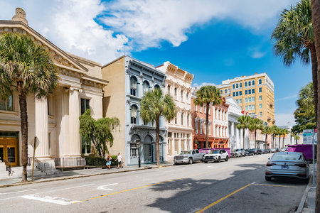 Charleston Historic District Street With Classic Architecture and Palm Treesのeditorial素材