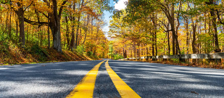 scenic fall season view of forest road in blue ridge parkway virginiaの写真素材