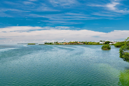 Tropical Island Shoreline With Waterfront Houses Calm Water And Summer Skyの写真素材