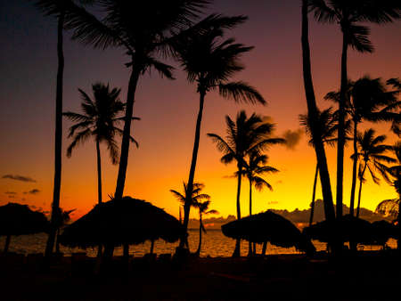 Tropical sun set/rise showing a tranquil scene with a darkening sky silhouetting the palm trees.の写真素材