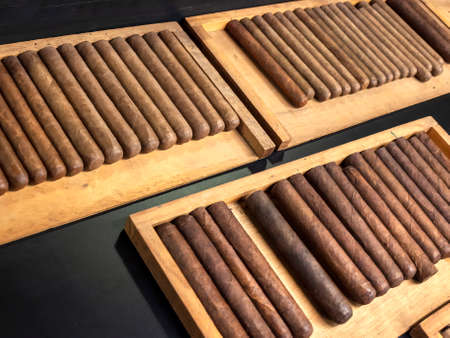 Hand rolled Cuban cigars in the factory waiting finishing.