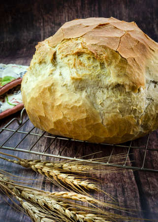 Home made freshly baked bread on cooling wire with a dark background.
