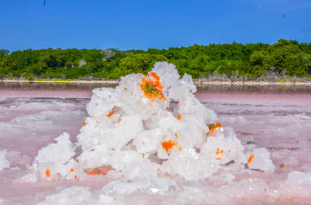 Stones and salt crystals in pinkの写真素材