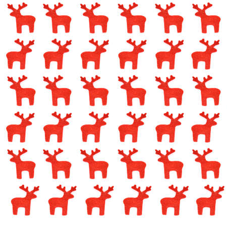 Reindeer at the white background.の写真素材
