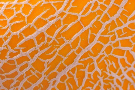 Textured melon skin