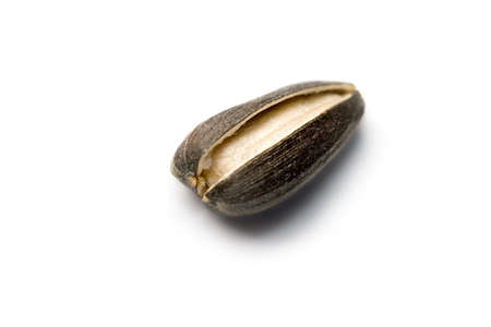 Sunflower seed isolated on whiteの写真素材