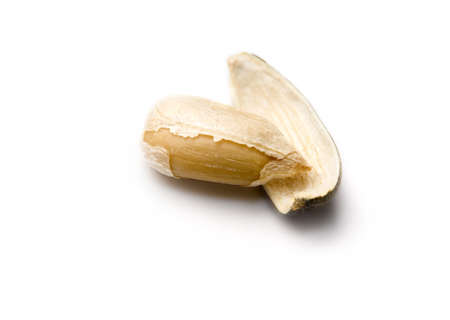 Sunflower seed isolated on whiteの写真素材