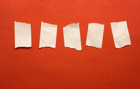 Scraps isolated on red background 