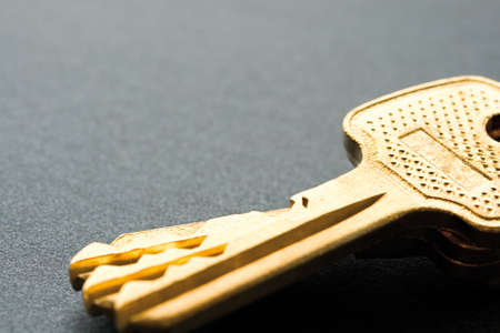 Bunch of keys isolated on greyの写真素材