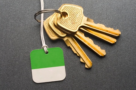 Keys on the grey backgroundの写真素材