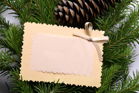 Background with fir and greeting cardの写真素材