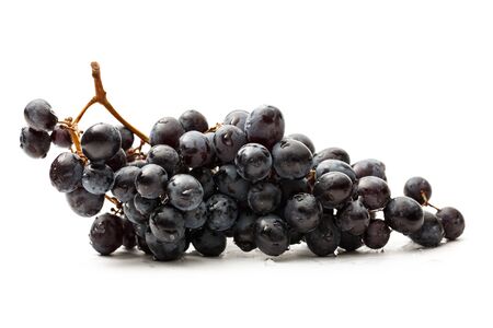 Twig of black grape on white 