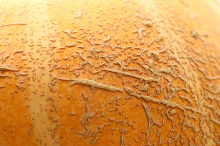 Yellow pumpkin as textured background