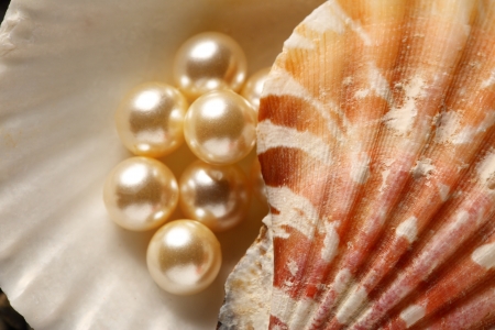 Scattering white pearls in seashell on pebblesの写真素材