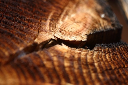 Wooden background with cracked annual growth ringの写真素材