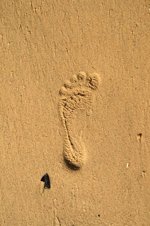 Footprint on the sandの写真素材