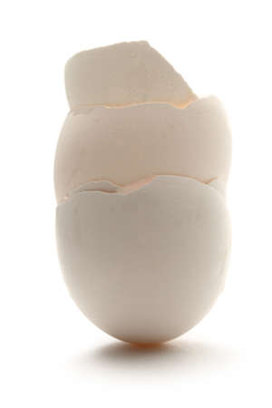 Eggshell on the white background