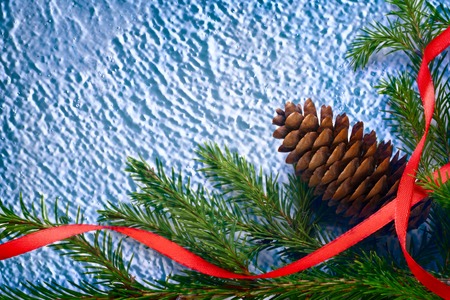 Background with fir and cone on blue snowの写真素材