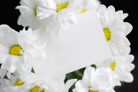 Blank greeting card and flowersの写真素材