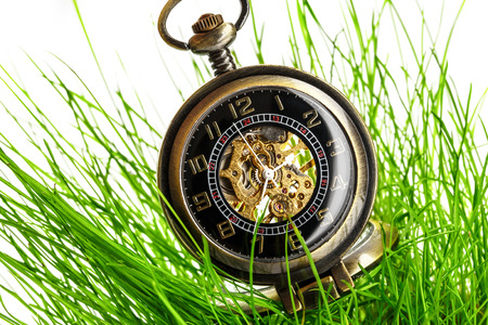 Vintage pocket watch in fresh green grassの写真素材