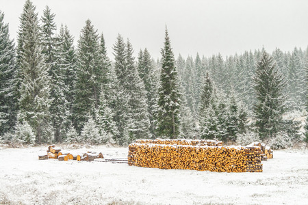 Stack of wood covered with snow in the distanceの写真素材
