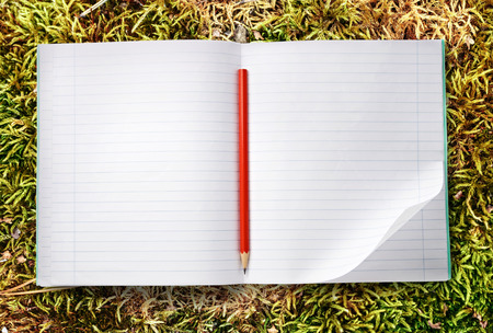 White blank open notebook with red pencilの写真素材