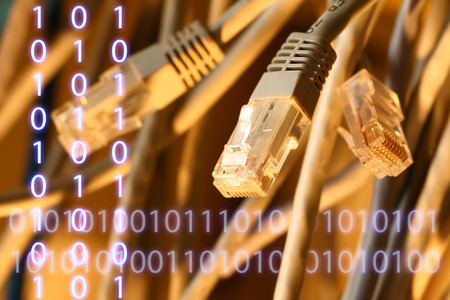 Insulated cords of network link in closeup