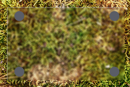 Green grass as blur background in closeup