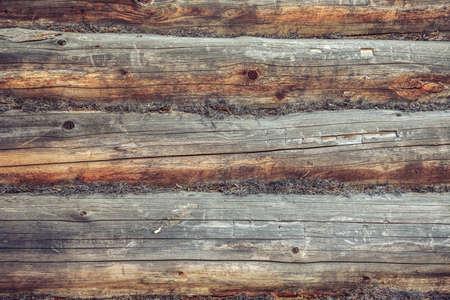 Wooden cracked log material as background closeupの写真素材