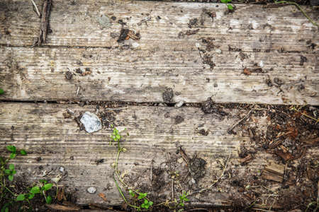 Wooden cracked log material as background closeupの写真素材