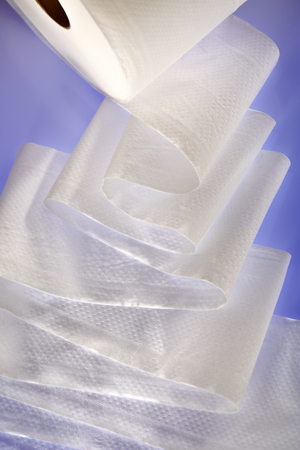 One white toilet paper roll in closeupの写真素材