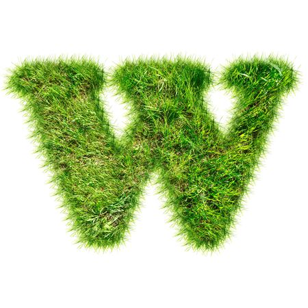 Capital latin letter made of green grassの写真素材