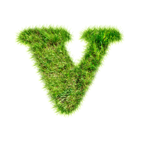 Capital latin letter made of green grassの写真素材
