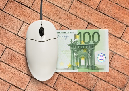 Computer mouse and one hundred euro banknote on brick