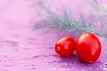 Fresh red tomatoes with dill on pink backgroundの写真素材