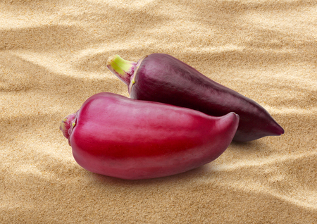 Red paprika pepper on sand background closeupの写真素材