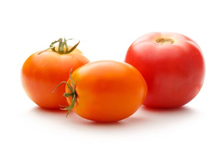Fresh red tomatoes on the white backgroundの写真素材