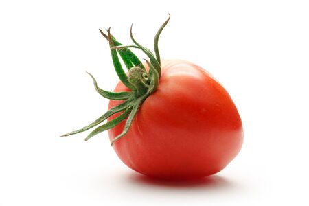 Fresh red tomato on the white backgroundの写真素材