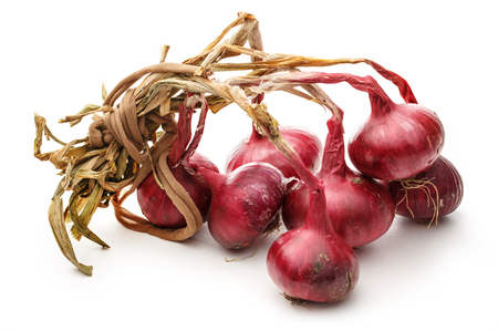 Fresh red onion on the white backgroundの写真素材
