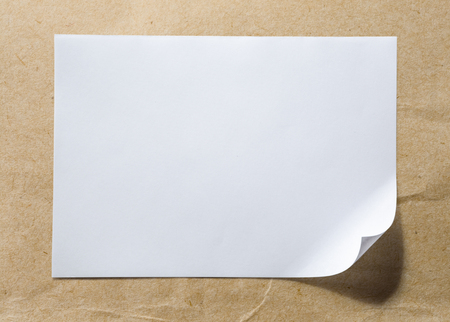 Blank sheet of paper as white backgroundの写真素材