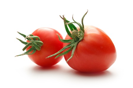 Fresh red tomatoes on the white backgroundの写真素材