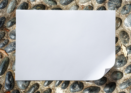 Blank sheet of paper as white backgroundの写真素材