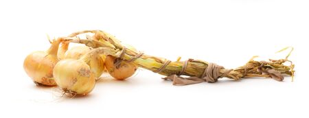 Fresh onion on the white background closeupの写真素材