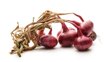 Fresh red onion on the white backgroundの写真素材