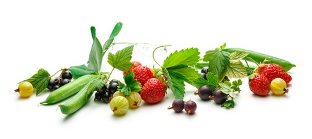 Fresh black currant, gooseberry, strawberry and peas on whiteの写真素材