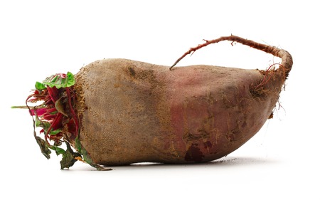 Young beet from garden on white backgroundの写真素材