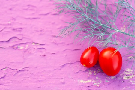 Fresh red tomatoes with dill on pink backgroundの写真素材