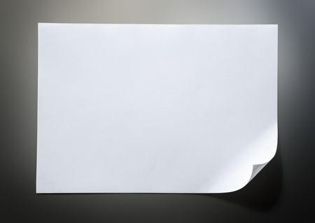 Blank sheet of paper as white backgroundの写真素材