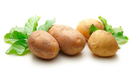 Fresh whole potatoes with green haulm on white backgroundの写真素材