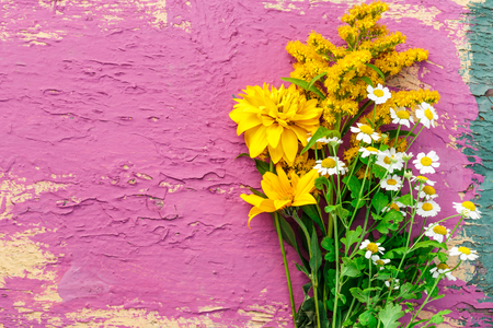 Garden flowers on colorful background in closeupの写真素材